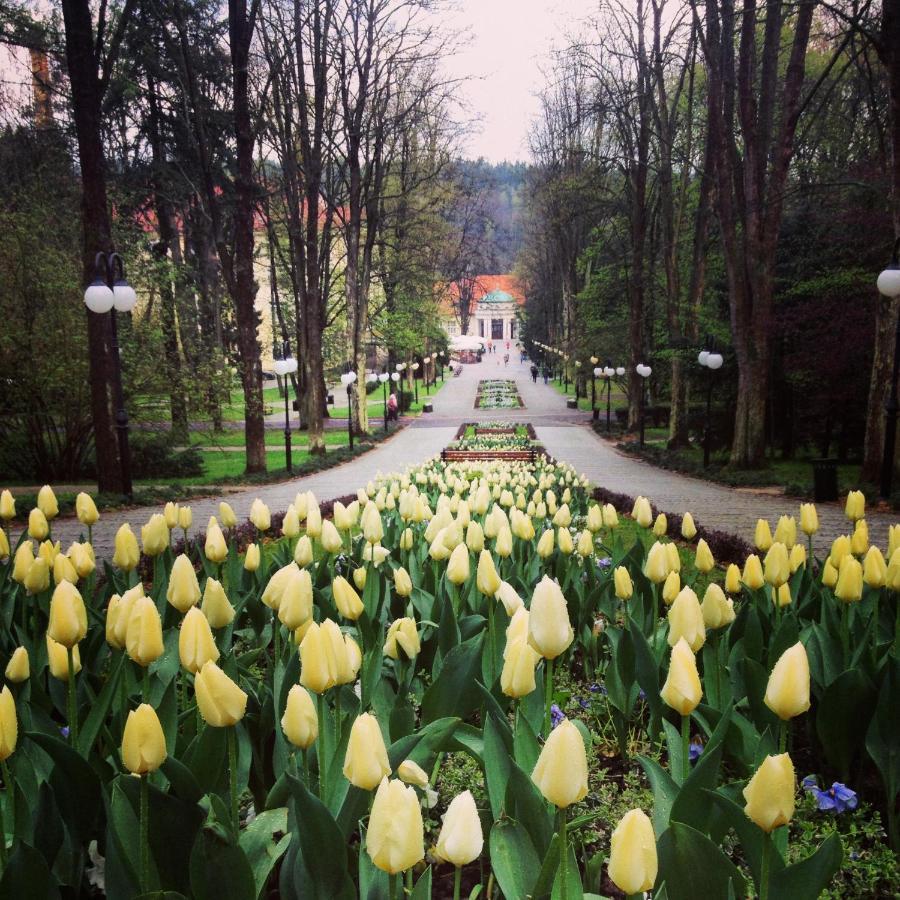Villa Filmowiec Polanica-Zdrój Exteriör bild
