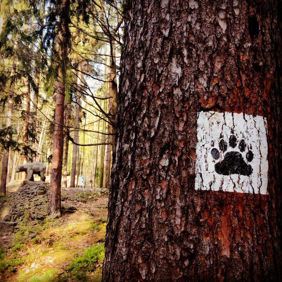Villa Filmowiec Polanica-Zdrój Exteriör bild